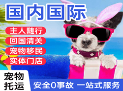 稻城亚丁机场物流国际宠物托运 【国
